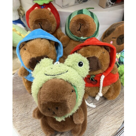 カピバラさんと一緒におでかけ♡