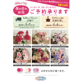 本日まで！！！
