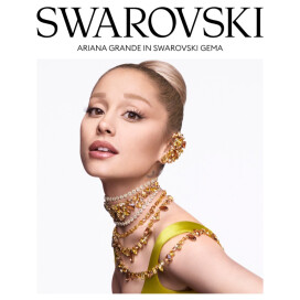 【 Swarovski 2025年秋冬コレクション 】