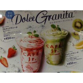 夏の定番❗グラニータ