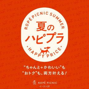 「夏のハピプラ | “ちゃんと＋かわいい”も“おトク”も、両方叶える！」