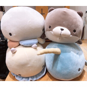 海の生き物入荷しました！