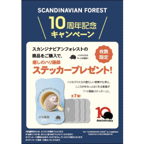ノベルティ配布いたします！🦔