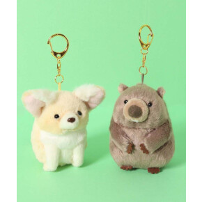 ゆる可愛い【レアアニマル】新作が入荷しました🐻