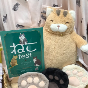 🐈‍⬛ねこfest開催中🐈