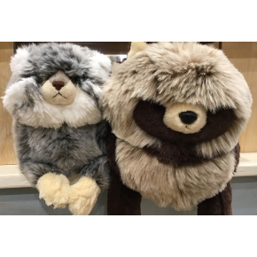 仲間が増えました。