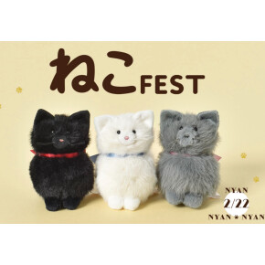 ネコフェス　スタートです。