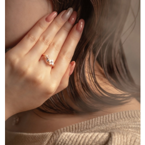 バースフラワー11月の誕生花『ブバリア』