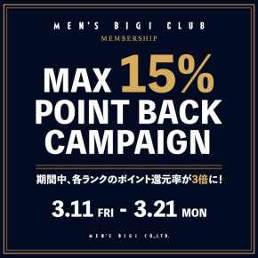 【MAX15％ポイント還元キャンペーン】