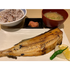 本日のおすすめ