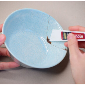 金継ぎを学ぼう！