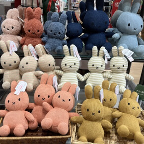 あのこをお迎えしてみませんか