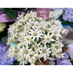 ☆5.12☆　母の日です♪