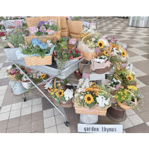 きょうのお花☆