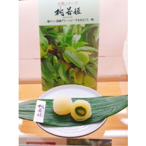 2/20 店長おすすめスペシャル