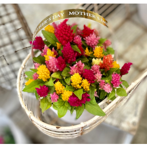 ☆5.12☆　母の日です♪