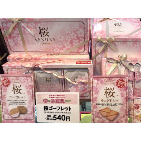 桜が見ごろになってきました^^*⑤