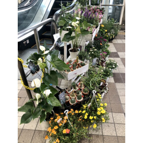 限定出店、始まりました！^^