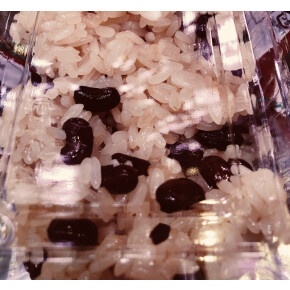 毎月15日『月のまんなか市』