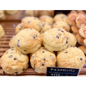 本日〈アルパカ〉DAY！