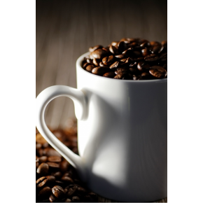 正面催事場【珈琲豆処こげちゃ家】自家焙煎珈琲豆