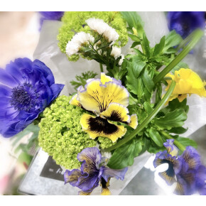 きょうのお花☆