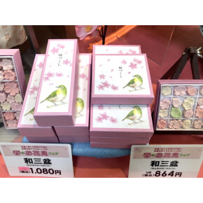 桜が見ごろになってきました^^*④