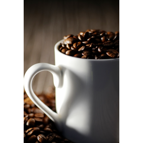 期間限定催事【珈琲豆処こげちゃ家】自家焙煎珈琲豆