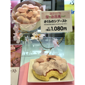 桜が見ごろになってきました^^*②