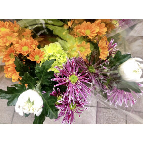 きょうのお花☆