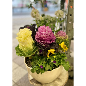 きょうのお花☆