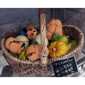 本日のお花屋さん^^