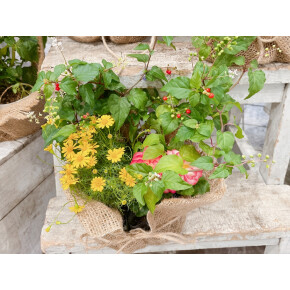 お楽しみ袋販売中★