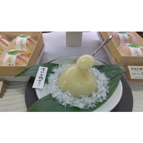 店長のおすすめ