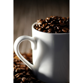 正面催事場【珈琲豆処こげちゃ家】自家焙煎珈琲豆