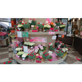 もうすぐ母の日！