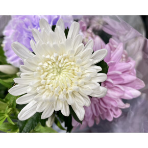 きょうのお花☆