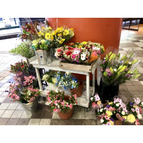 期間限定出店です^^