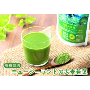 正面催事場【ソーキ】大麦若葉