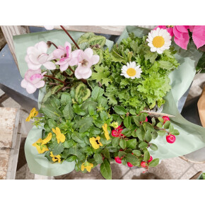 売り切れご容赦！