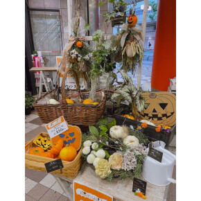きょうのお花☆