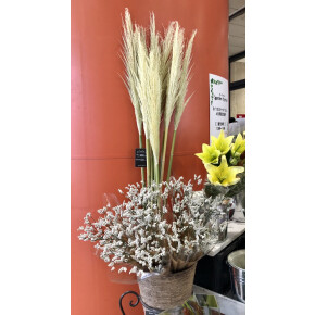 明日までの販売です^^