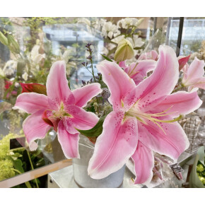 きょうのお花☆
