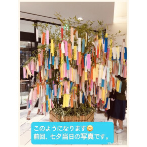 今年もやってます☆彡