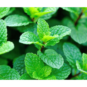 明日は何の日？