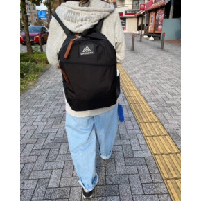 GREGORY NEW ARRIVAL ④
