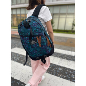 GREGORY DAYPACK CAMPAIGN