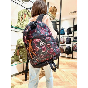 GREGORY DAYPACK STYLE①
