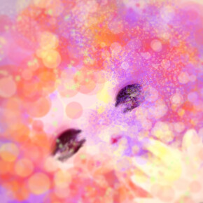 第１.３.５日曜日のLily poemです。