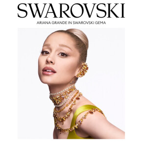 【 Swarovski 2025年秋冬コレクション 】